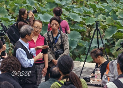 标题:重庆市艺术摄影家学会摄影培训班又开班了